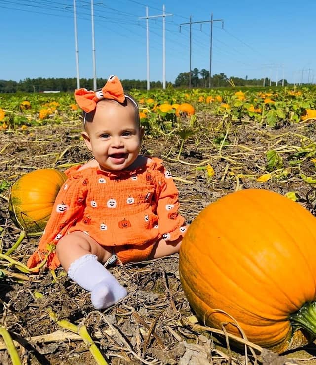 Richardson Farms - Image 2