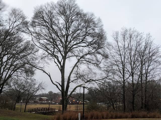 gateway park - Image 3