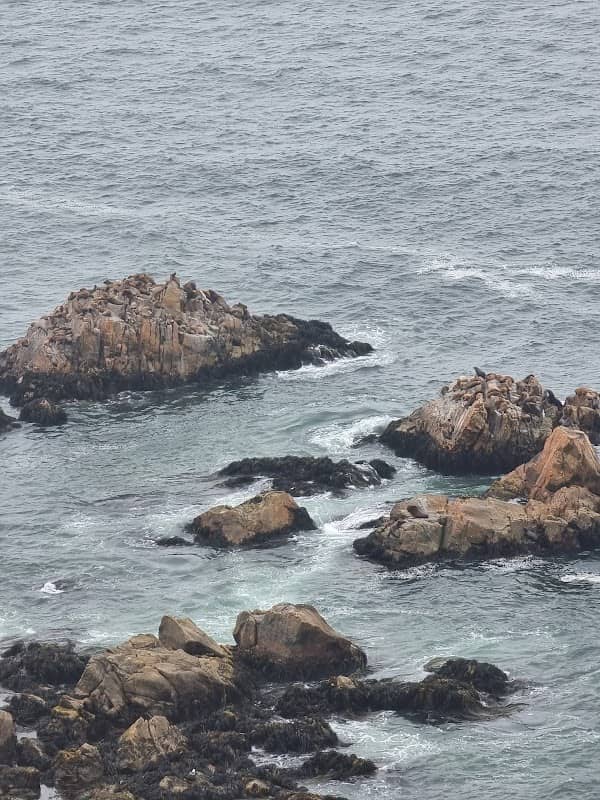 Escalera a Reñaca Norte - Image 2
