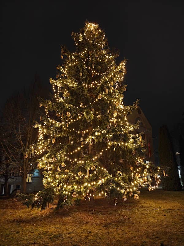 Város Karácsonyfája - Image 1