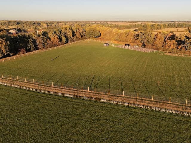 Rachel's Doggy Field - Image 1