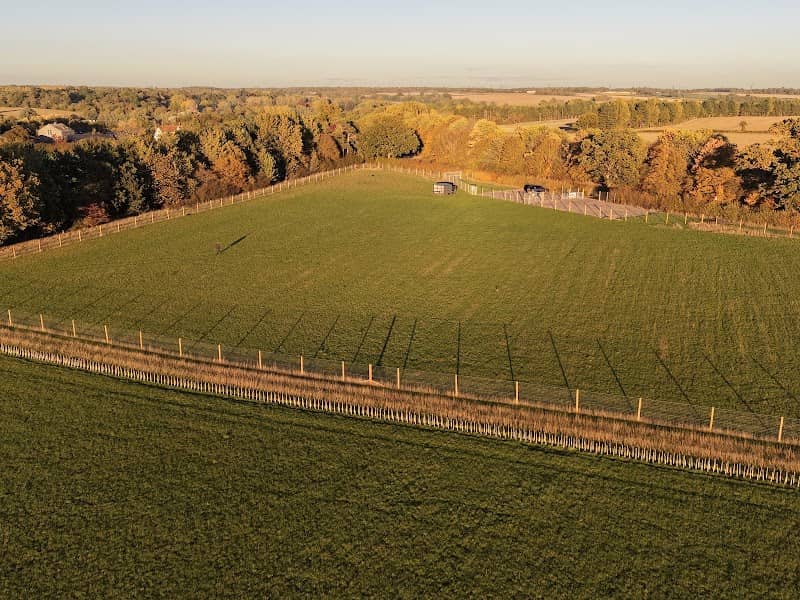 Rachel's Doggy Field - Image 1