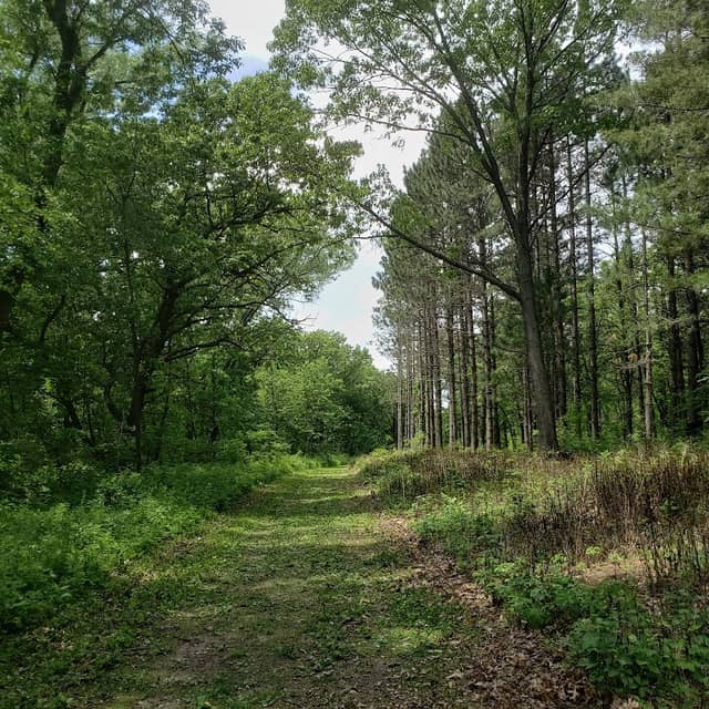 Rock Island Botanical State Preserve - Image 2