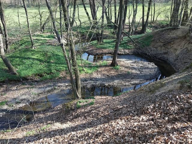 Přírodní park Rokytka, Mýto - Image 1