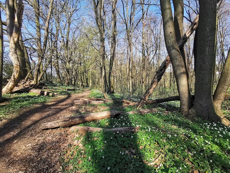 Přírodní park Rokytka, Mýto - Image 2