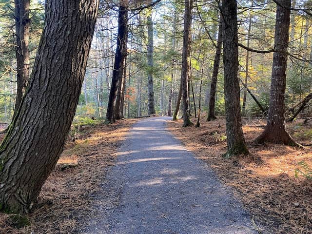 Castner Brook Community Forest - Image 1