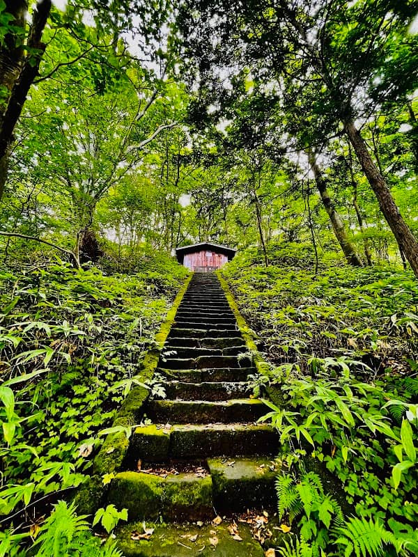 愛宕福神水 - Image 1