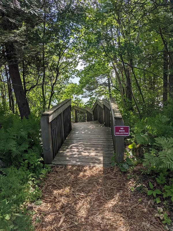 Thorne Swift Nature Preserve - Image 1