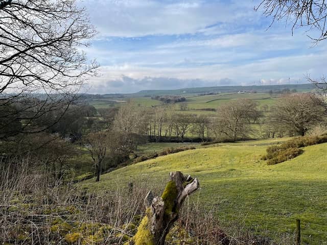 Upper Don Trail - Image 2