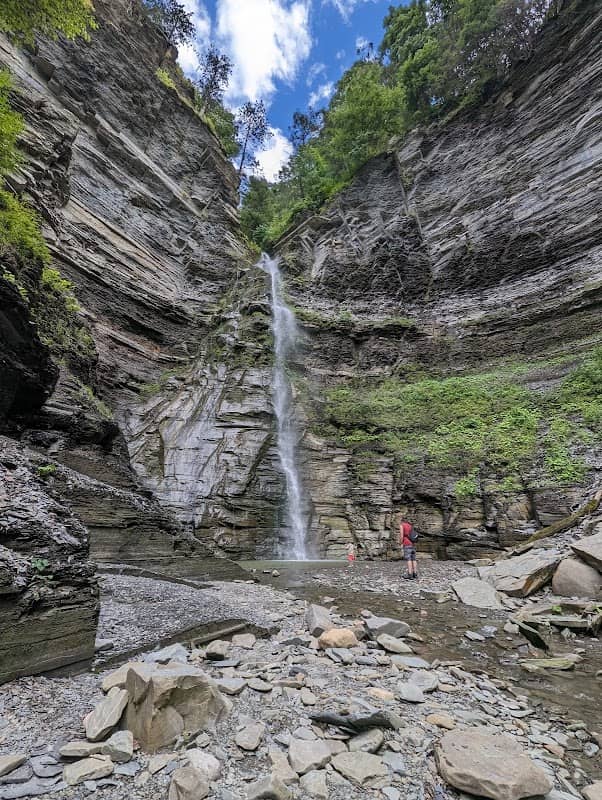 Finger Lakes Tour Company - Image 1