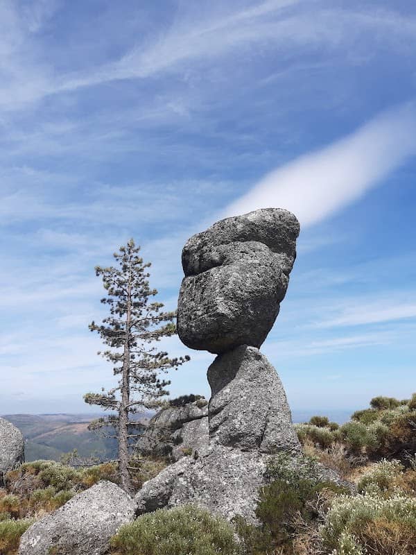 Fraga da Cruz - Image 1