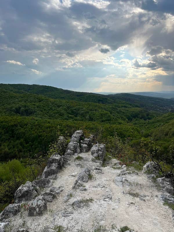 La Chilii - Image 1