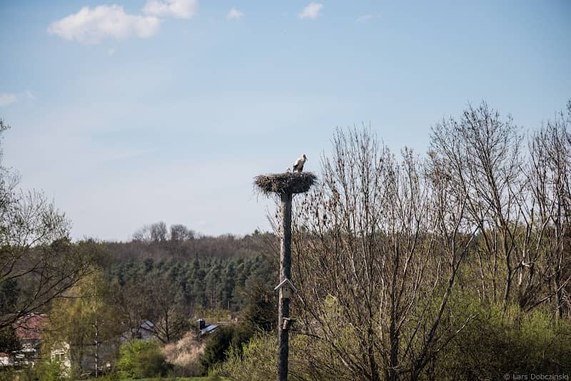 Storchennest am Lückenbach - Image 2