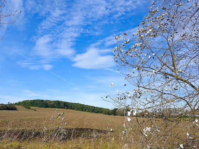 Silsoe Nature Reserve - Image 1