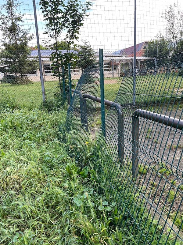 Area Cani - Image 1
