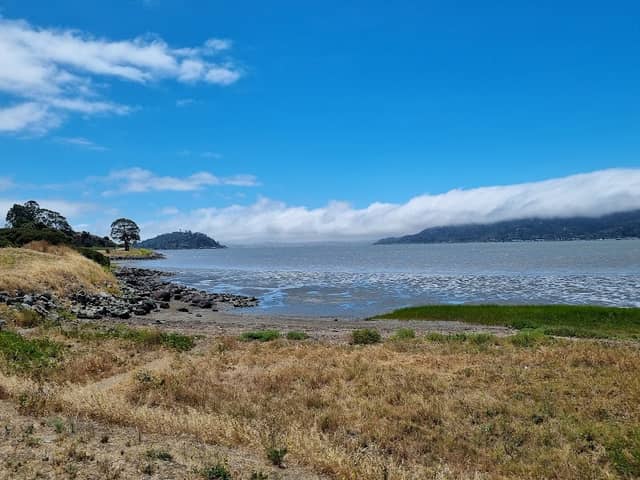 Blackie's Pasture - Image 2