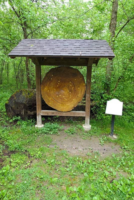 Turkey Foot Nature Park - Image 1