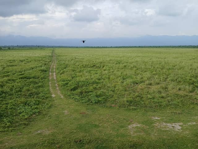Rupohi Forest Camp, Bhuyanpara Range - Image 2