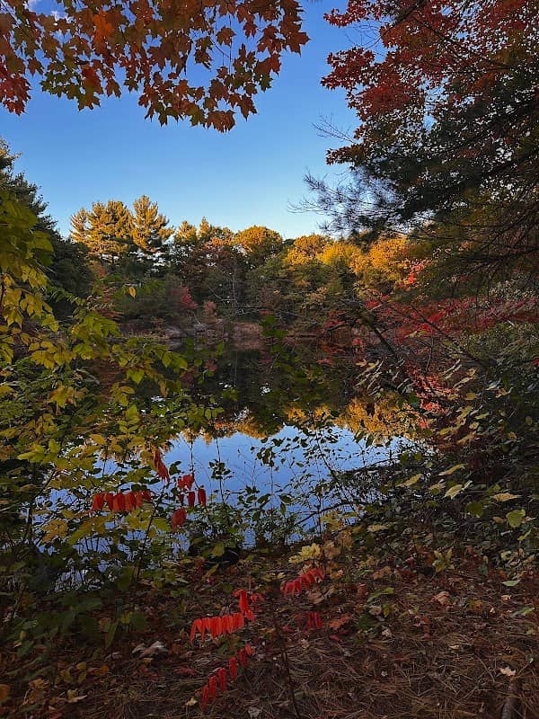 Shambeau Park - Image 2