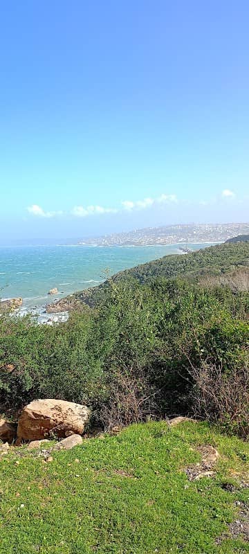 مونداليون - Image 1
