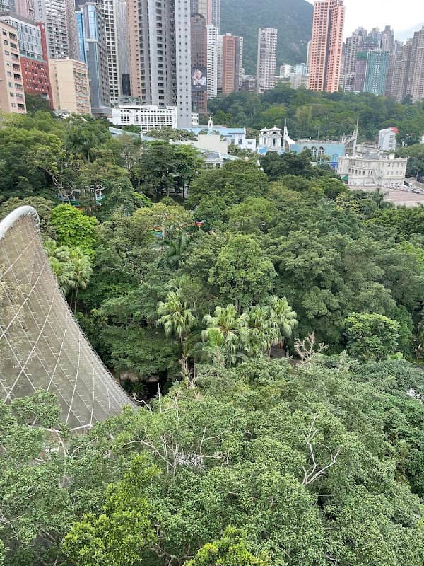Hong Kong Park - Image 2