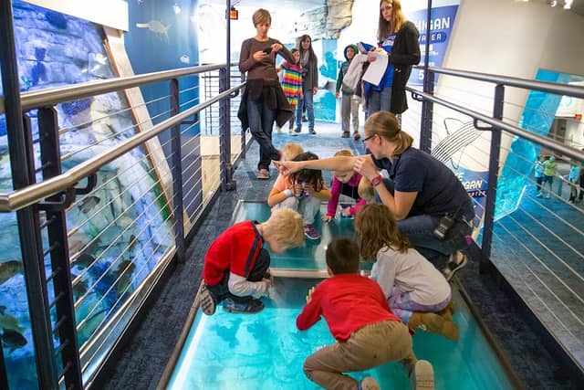 Discovery World's Reiman Aquarium - Image 2
