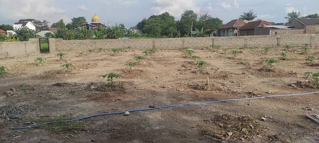 At-Taqwa Garden - Image 1