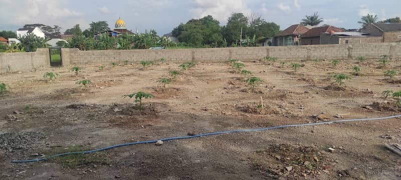 At-Taqwa Garden - Image 1
