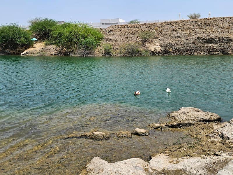 Wadi Hatta - Swan Lake - Image 1