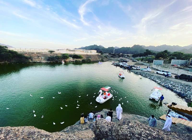 Wadi Hatta - Swan Lake - Image 2