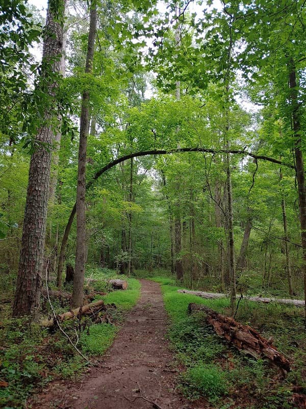 Douglasville Running Trail - Image 2