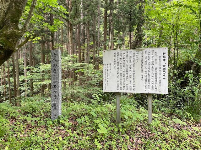 大栃の木 - Image 1