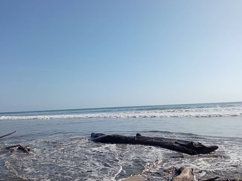 Playa guiones - Image 1