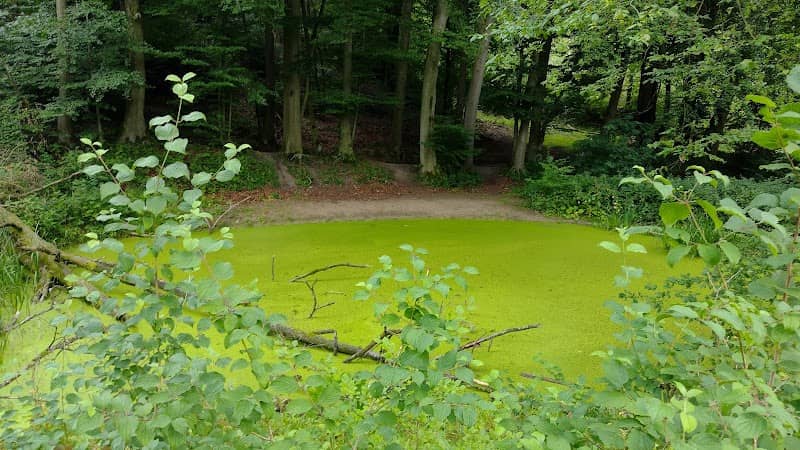 Teiche an der Waterbör - Image 2