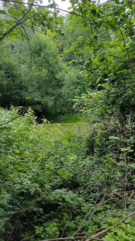 Teiche an der Waterbör - Image 1