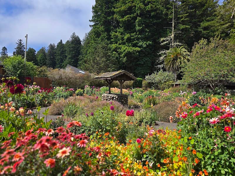 Sequoia Park Garden - Image 3