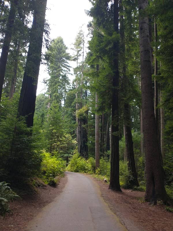 Sequoia Park Garden - Image 1