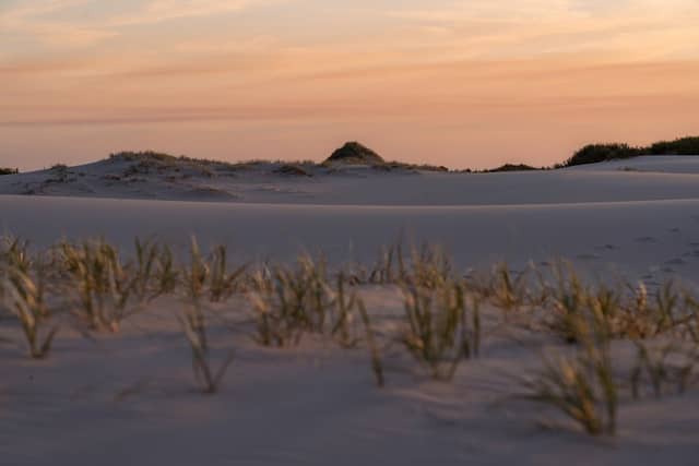 Myall Lakes National Park - Image 1