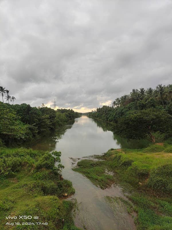 Kambipalam view - Image 1
