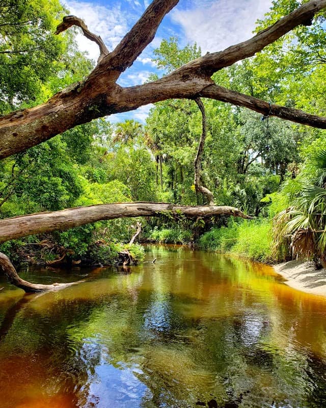Black Hammock Trailhead - Image 2