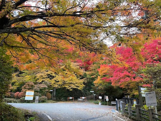 Shiroyama Park - Image 1