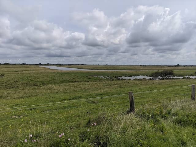 Wöhrdener Loch Nature Reserve - Image 1