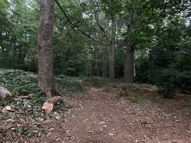 Scott's Hill - Image 1