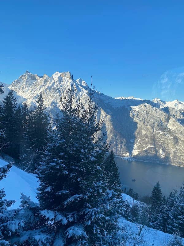 Aussichtspunkt Urnersee (Viewpoint) - Image 2