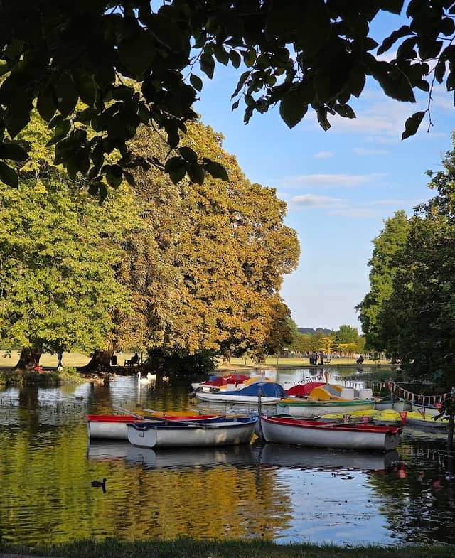 Ryepark - Image 1