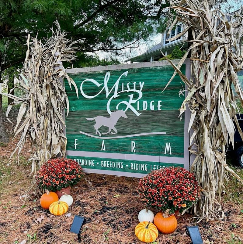 Misty Ridge Farm - Image 1