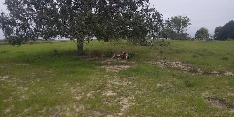 Rattlesnake Island - Image 1