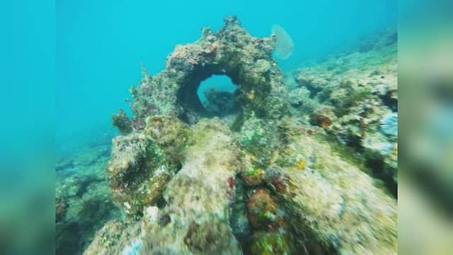 Scuba Diving and Snorkeling - Image 2