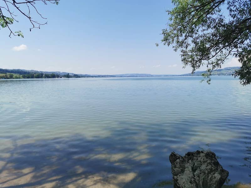 Längerain Sempach - Image 2