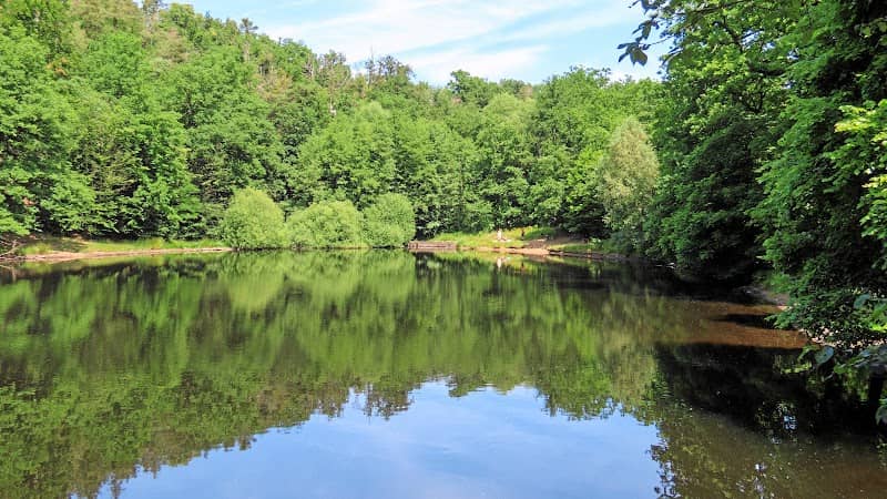 Spitzgrundteich - Image 1